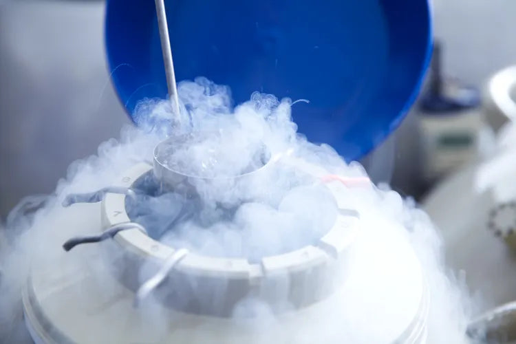 Cryo, by Design: A look behind the process